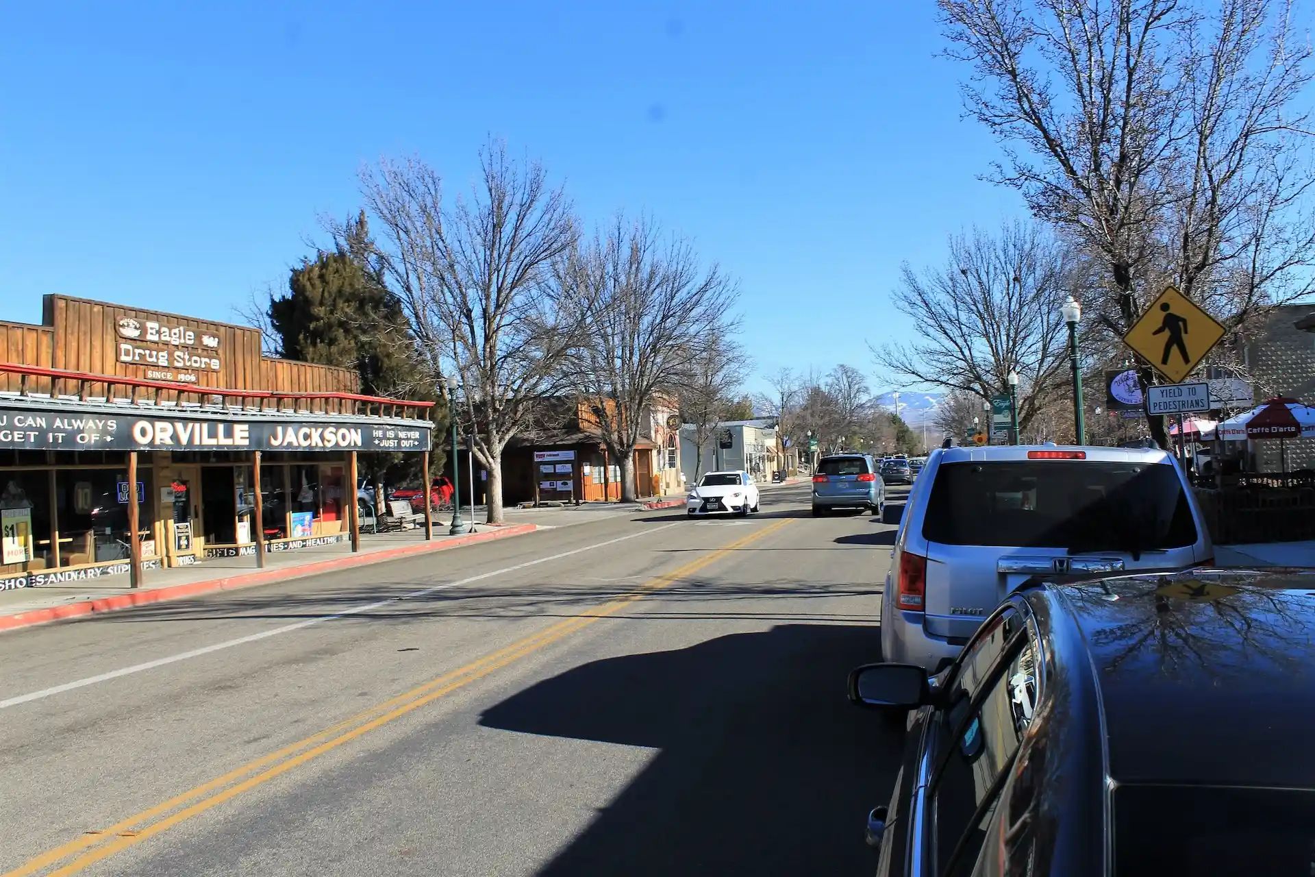 Downtown Eagle, Idaho, featuring a charming street lined with local shops, boutiques, and storefronts.